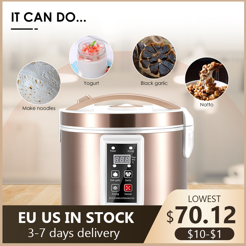 5L fermentatore di aglio nero  - Diy Electronics Starter Kit recensione e prezzo